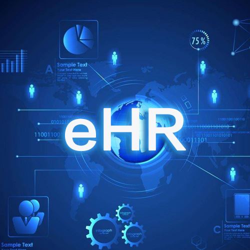 进阶版本eHR