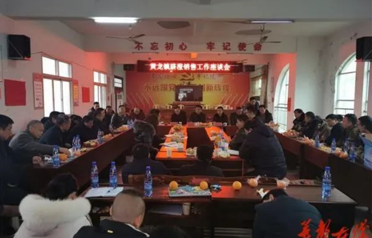 「销售渠道」新宁黄龙镇如何拓宽脐橙销售渠道？